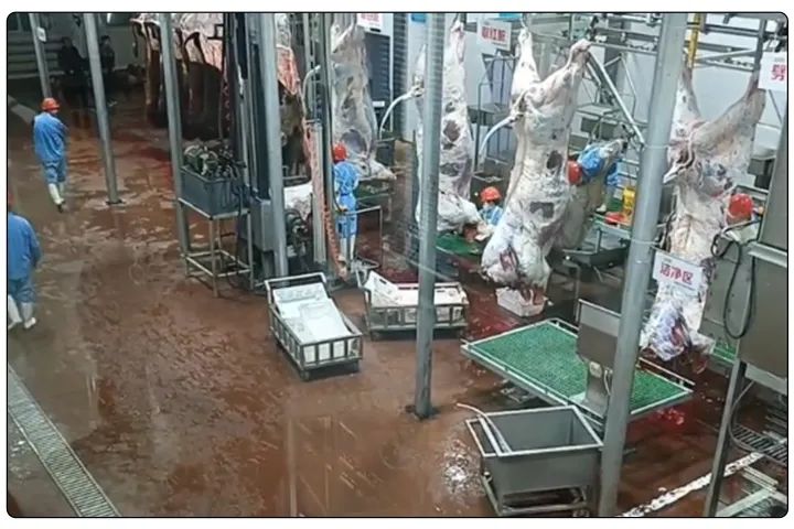 屠宰工廠惡臭影響周邊，使用除臭劑有什么注意要點(diǎn)？