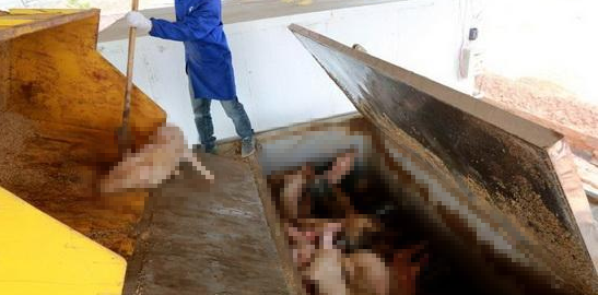 潔匠凈化·的凈工業(yè)除臭劑_動(dòng)物無(wú)害化處理廠，惡臭異味危害大，工業(yè)除臭劑起作用！