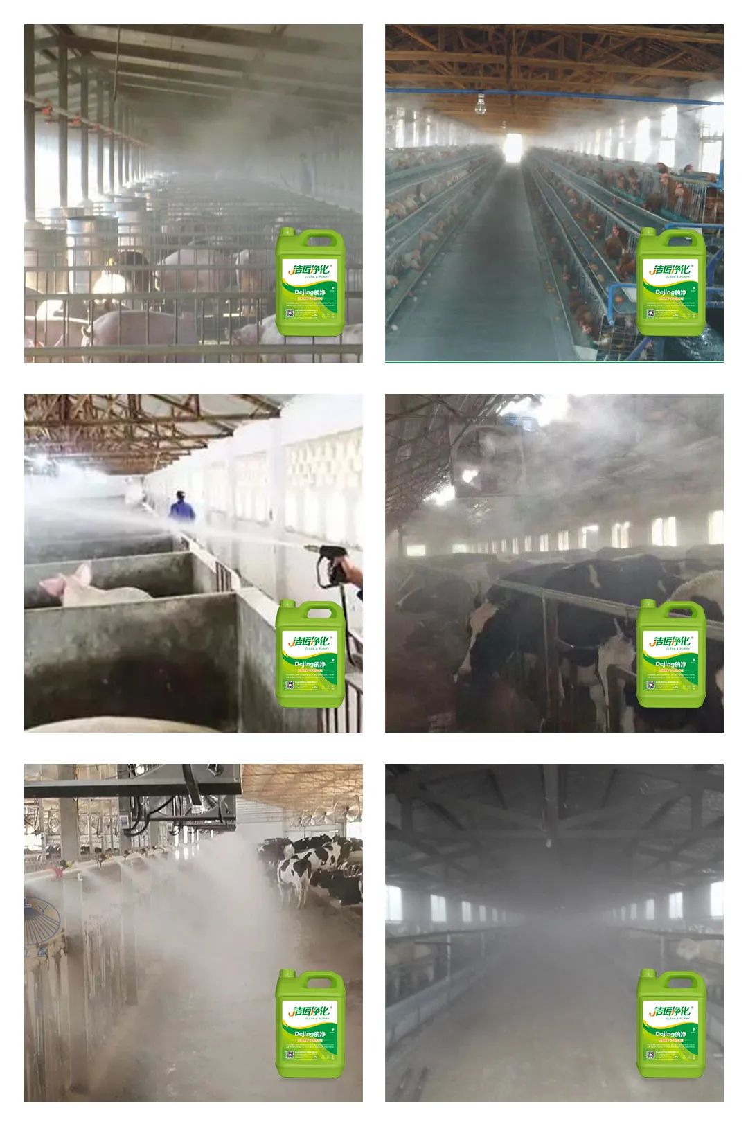 養(yǎng)殖場太臭，用Dejing的凈除臭劑迅速除臭！豬圈/雞場/牛場/羊圈....jpg