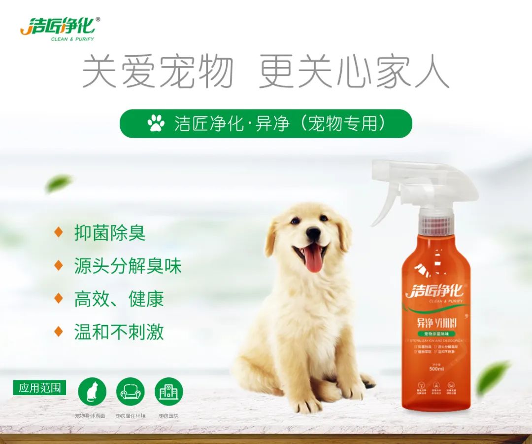 寵物氣味彌漫整個屋子，潔匠凈化教您如何除味